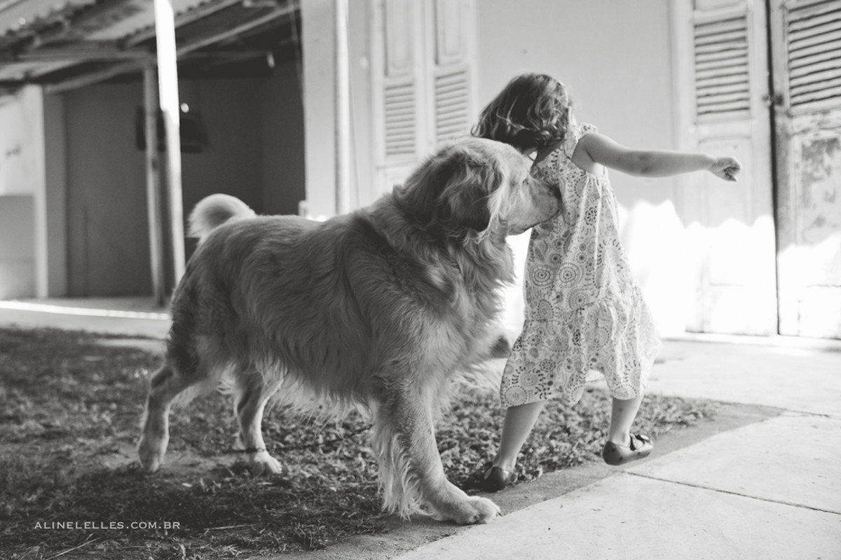 aline lelles, atelier de fotografia, celia eyer, cinema, clement, ensaio de famÃ­lia, ensaio famÃ­lia, familia, familia franca, familia francesa, family photo, family photographer, flora, fotodocumentÃ¡rio, fotÃ³grafa, fotÃ³grafa de famÃ­lia, fotografa fa