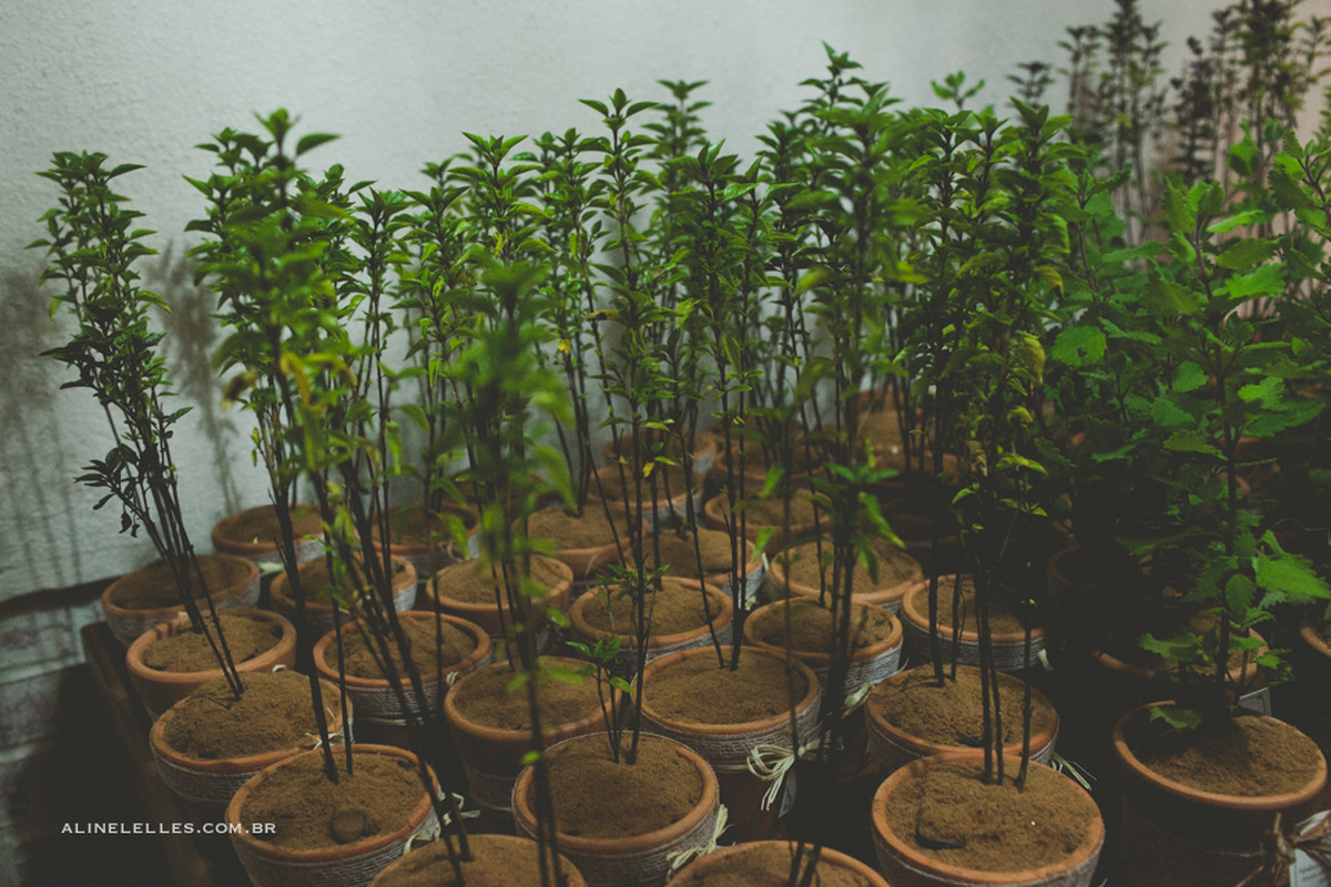 Affective Photography, Wedding Photography, Making Off Bride, Making Off Groom, Wedding Party, Bride Photos, Groom Photos, Bouquet, Wedding Decoration, Aline Lelles and Rodrigo Wittitz