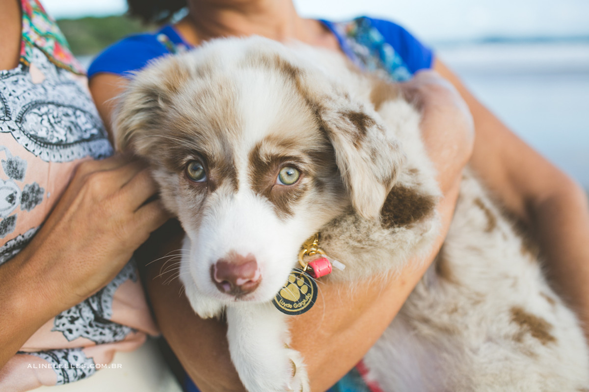 Fotografia Afetiva com Aline lelles e Rodrigo Wittitz, Fotografia de Casamento, 
Fotógrafo de Casamento em Búzios, Ensaio de Casal na praia, Casando na Praia, Casando em Búzios, Pre Wedding