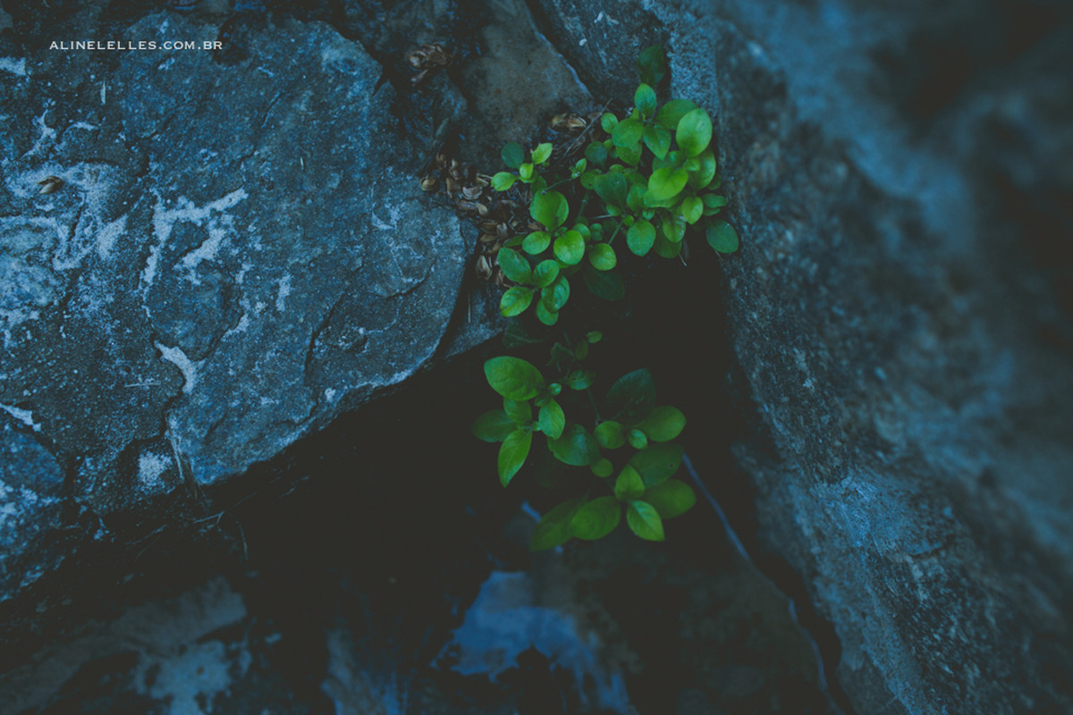 Fotografia Afetiva com Aline lelles e Rodrigo Wittitz, Fotografia de Casamento, 
Fotógrafo de Casamento em Búzios, Ensaio de Casal na praia, Casando na Praia, Casando em Búzios, Pre Wedding