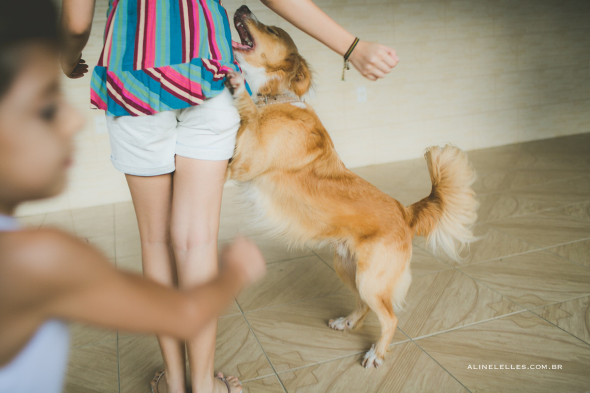 Sol de Primavera | Fotografia de Família Juliana, Fabiano, Julia, Clara e Lucas | Guapimirim