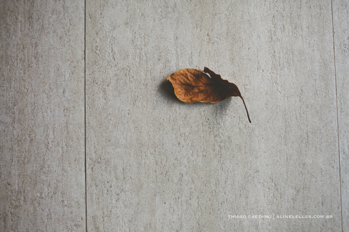 aconchego, aline lelles, amor e fotografia, amor, atelie aline lelles, atelie de fotografia, atelier aline lelles, atelier de fotografia, aula de fotografia, aulas de fotografia, aulas para fotografos, bate papo de fotografia, blog de fotografia, blog de 