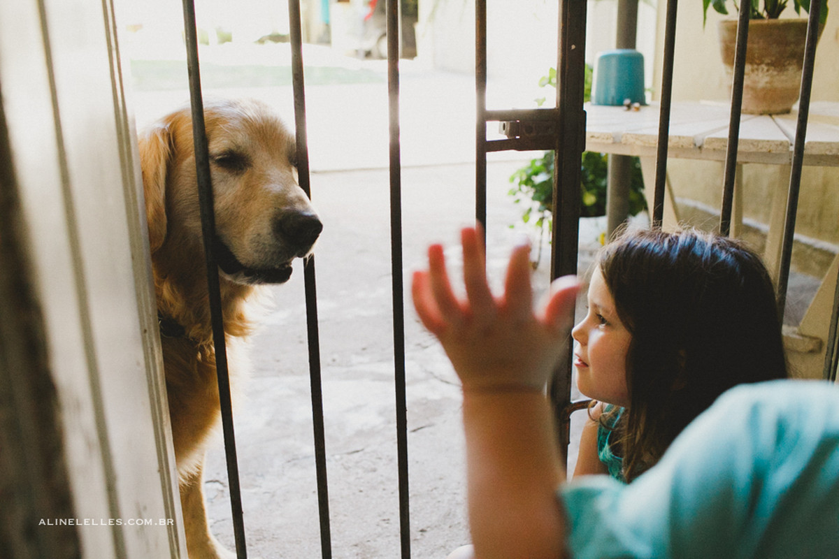 Aline Lelles Fotografia Afetiva , Fotografia de Casamento , Fotografia de Fam&iacute;lia , Ensaio de Casal , Acompanhamento de Beb&ecirc; , Ensaio Pessoal , Fotografia Lifestyle , Rio de Janeiro