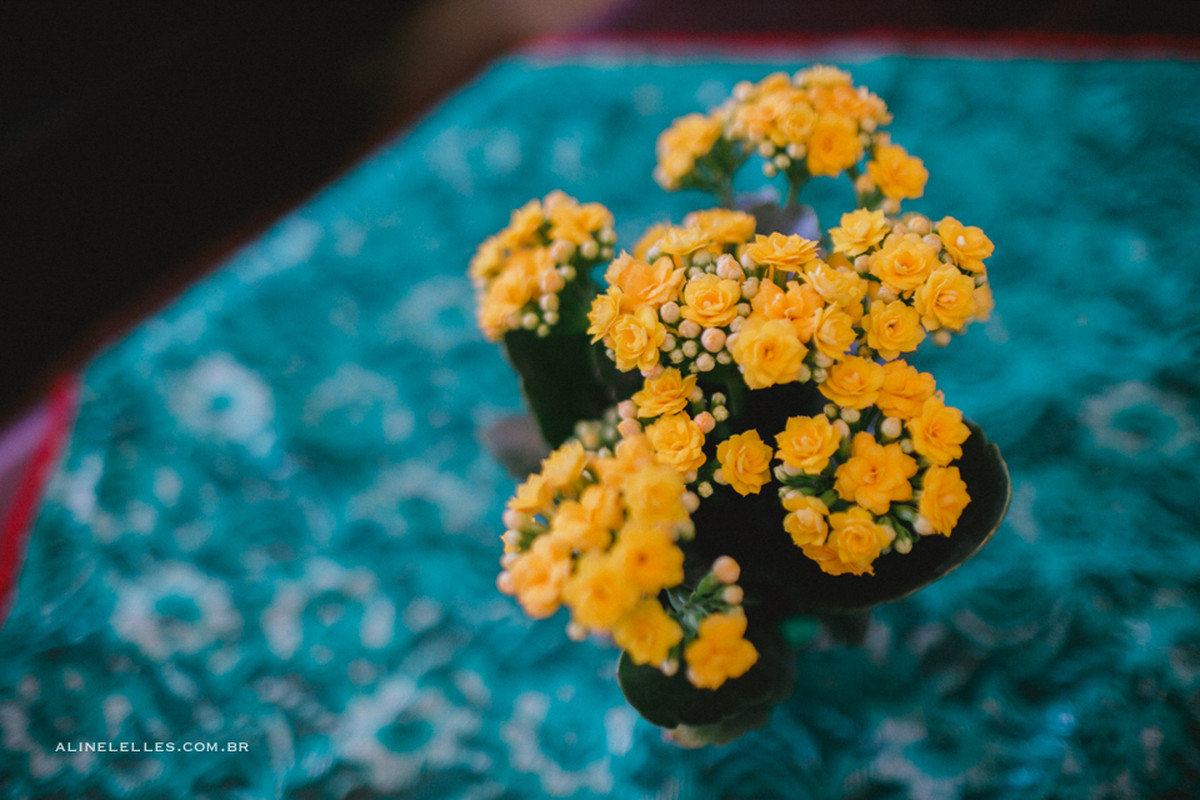 acordeao, aline lelles, atelier aline lelles, atelier de fotografia, casados, casados para sempre, casais, casal, coisas de casal, cordel encantado, couple, e-session, ensaio de casal, ensaio de casal nordeste, ensaio na feira, feira de sao cristovao, fei