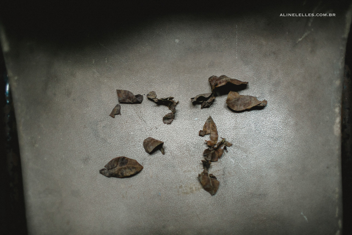 ensaio empoderamento feminino, poderes do feminino, sagrado feminino, ensaio pessoal