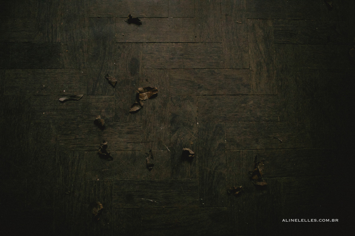 otografia lifestyle, ensaio poderes do feminino, sagrado feminino, ensaio pessoal, empodere-se