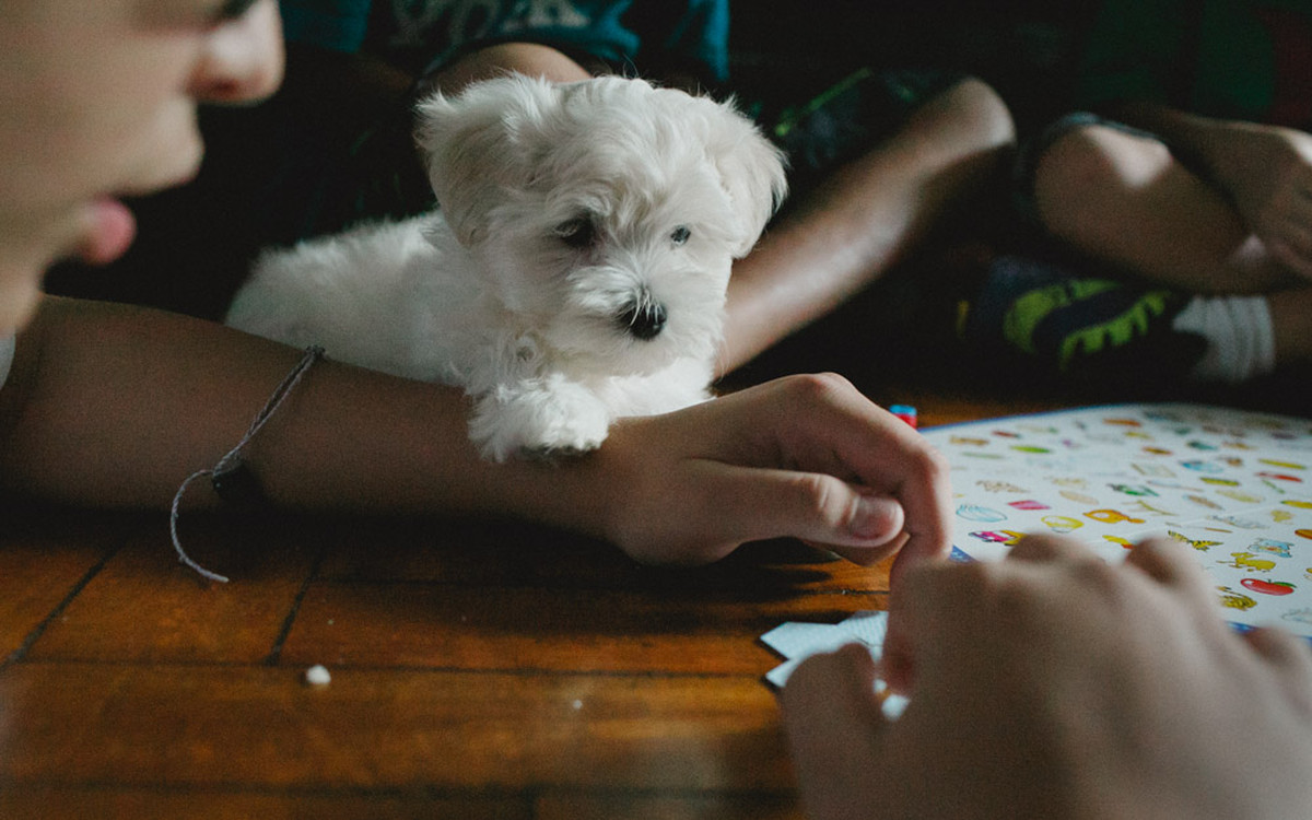 aline lelles, atelier aline lelles, atelier de fotografia, bianca gens, cinema, couple, ensaio de famÃ­lia, ensaio famÃ­lia, family photo, family photographer, fotodocumentÃ¡rio, fotÃ³grafa de famÃ­lia, fotografia de familia, fotografia de gente feliz, fo