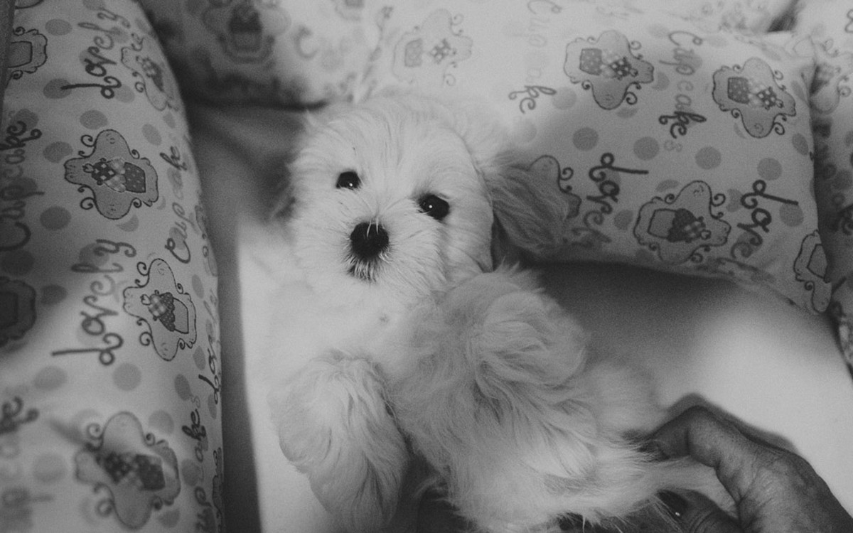 aline lelles, atelier aline lelles, atelier de fotografia, bianca gens, cinema, couple, ensaio de famÃ­lia, ensaio famÃ­lia, family photo, family photographer, fotodocumentÃ¡rio, fotÃ³grafa de famÃ­lia, fotografia de familia, fotografia de gente feliz, fo