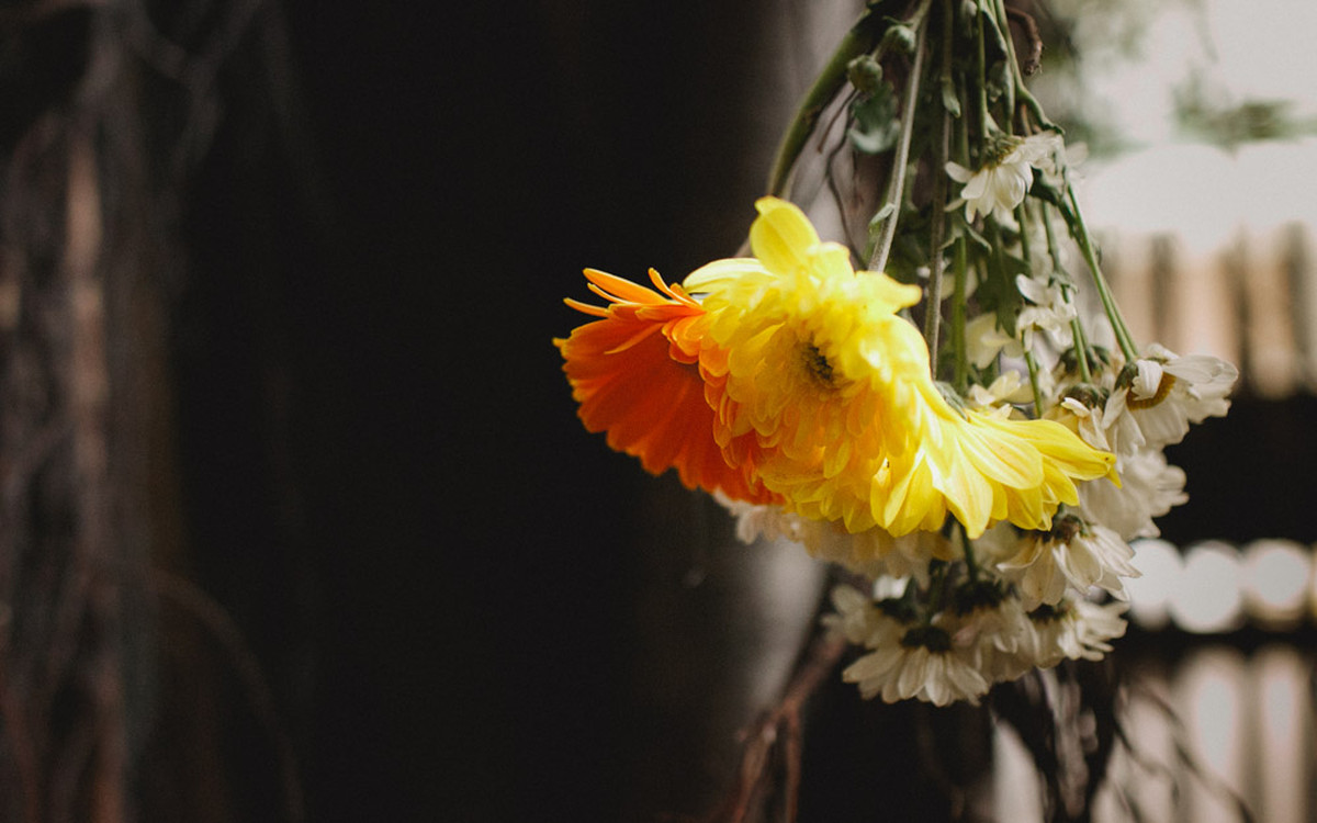 Affective Photography, Wedding Photography, Making Off Bride, Making Off Groom, Wedding Party, Wedding Photos, Groom Photos, Wedding Decor, Aline Lelles and Rodrigo Wittitz
