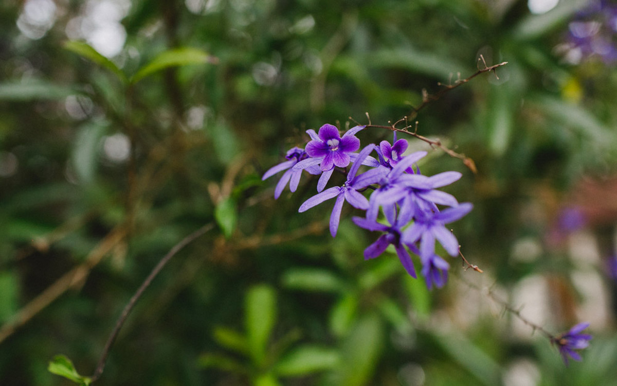alicerce, aline lelles, antepassados, atelier aline lelles, atelier de fotografia, cinema, couple, ensaio de famÃ­lia, ensaio famÃ­lia, family photo, family photographer, fotodocumentÃ¡rio, fotÃ³grafa de famÃ­lia, fotografia de cinema, fotografia de famil