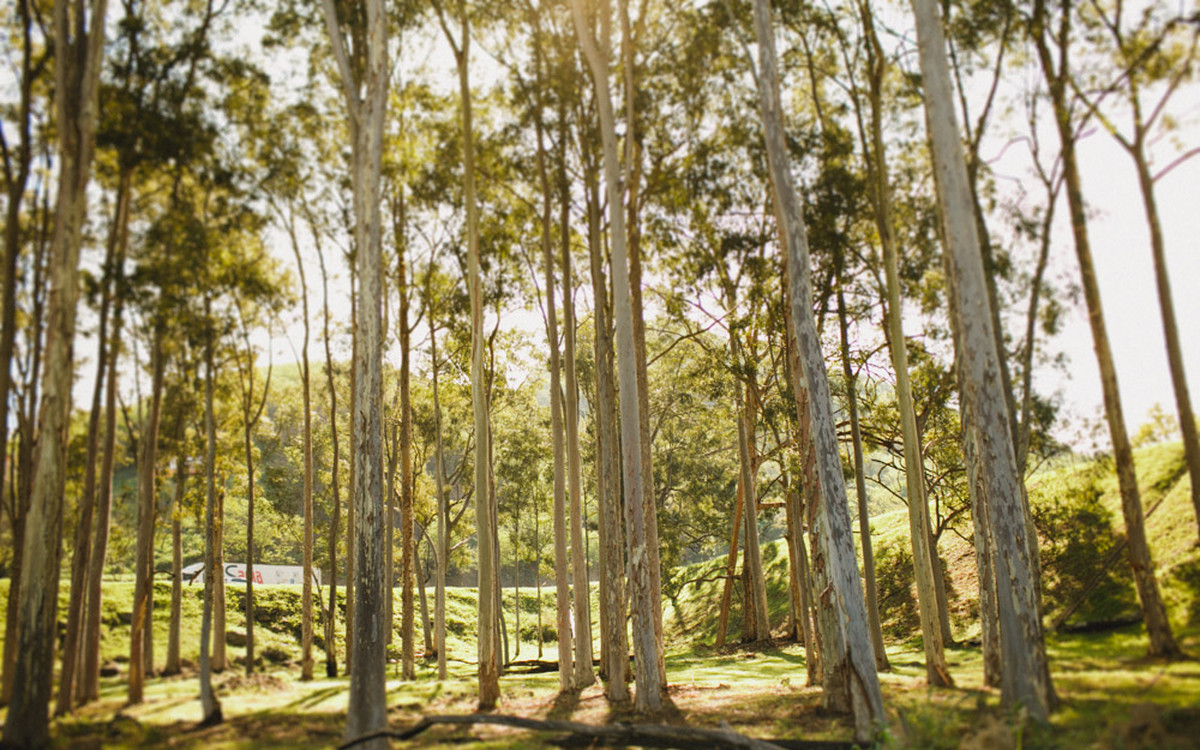 aline lelles, amanda e lorhan, atelier aline lelles, atelier de fotografia, casados, casados para sempre, casais, casal, couple, e-session, ensaio de casal, ensaio romantico, fotografia de casal, fotografia de cinema, fotografia de gente feliz, fotografia