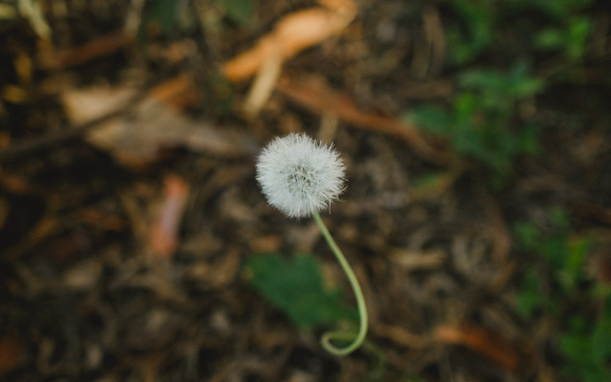 aline lelles, amanda e lorhan, atelier aline lelles, atelier de fotografia, casados, casados para sempre, casais, casal, couple, e-session, ensaio de casal, ensaio romantico, fotografia de casal, fotografia de cinema, fotografia de gente feliz, fotografia