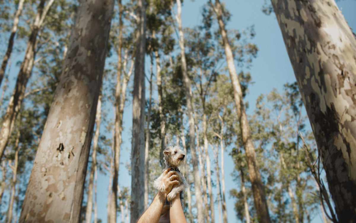 aline lelles, amanda e lorhan, atelier aline lelles, atelier de fotografia, casados, casados para sempre, casais, casal, couple, e-session, ensaio de casal, ensaio romantico, fotografia de casal, fotografia de cinema, fotografia de gente feliz, fotografia