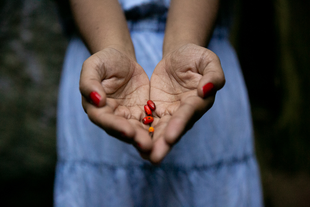 ensaio fotografico na reserva florestal do grajau, trilha rj, rio de janeiro, fotografa de ensaio feminino, fotografia de empoderamento, sagrado feminino, fotografia afetiva, gaslighting