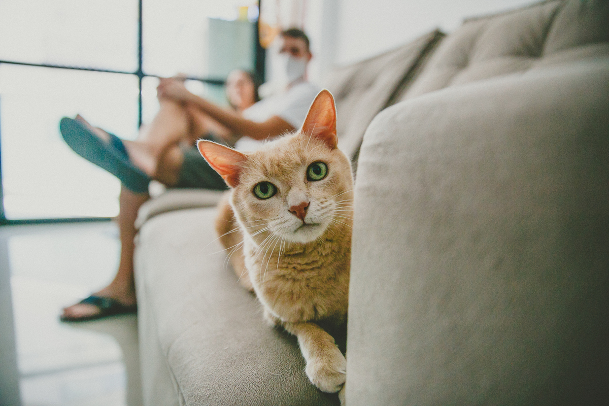  Fotografia Lifestyle Natural Newborn, Acompanhamento de Bebês, Fotógrafo de Família, Aline Lelles, Fotografia de Familia Rio de Janeiro