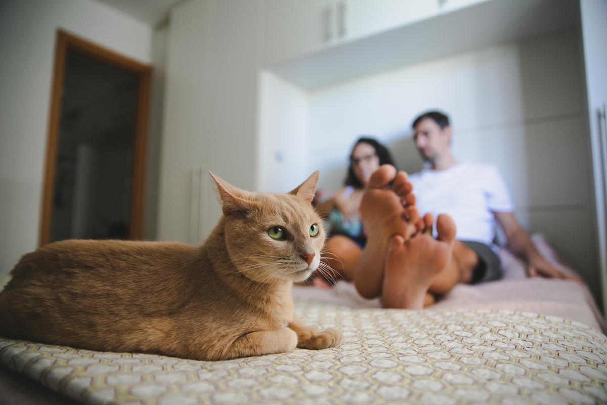  Fotografia Lifestyle Natural Newborn, Acompanhamento de Bebês, Fotógrafo de Família, Aline Lelles, Fotografia de Familia Rio de Janeiro