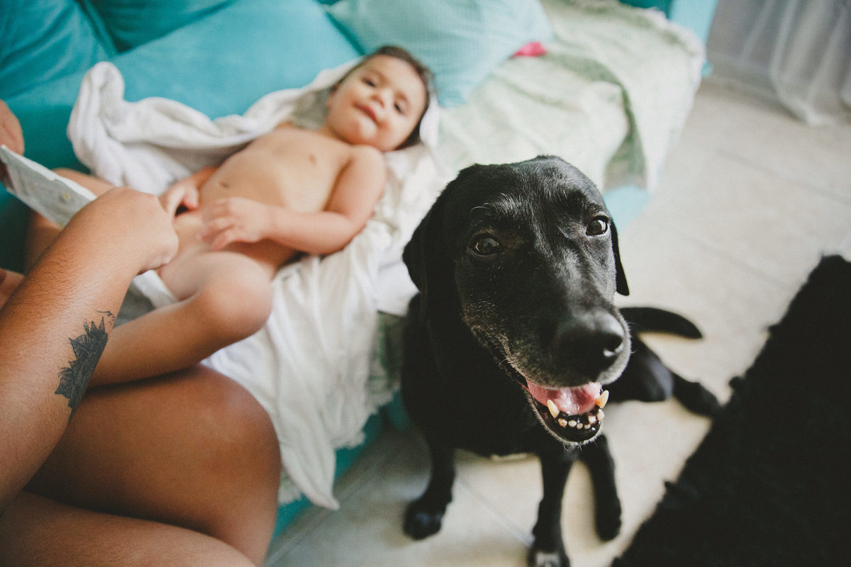 fotografia de familia, ensaio de familia, fotografo de familia, aline lelles, fotografia afetiva