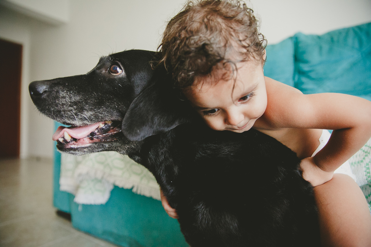 fotografia de familia, ensaio de familia, fotografo de familia, aline lelles, fotografia afetiva