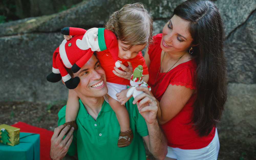 Papai Noel | Dezembro | Natal | &Aacute;rvore de Natal | Presentes | Enfeites de Natal