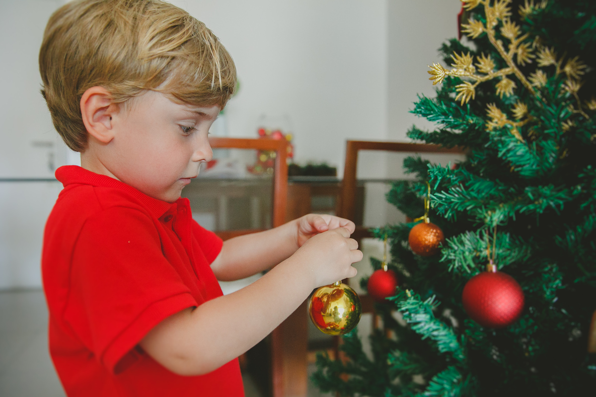 aline lelles fotografia afetiva, ensaio de natal rj, sessão fotográfica de natal, fotografo de familia rj, fotografia de familia rio de janeiro rj, ensaio fotográfico de natal rio de janeiro rj, ensaio de familia rj