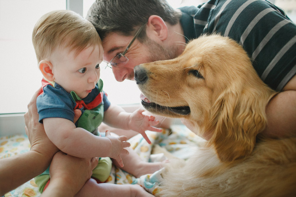 Fotografia Afetiva Aline Lelles e Rodrigo Wittitz , FotoPets Ensaio de Pets , Fotografia de Animais , Ensaio de Fam&iacute;lia , Fotografia de Fam&iacute;lia
