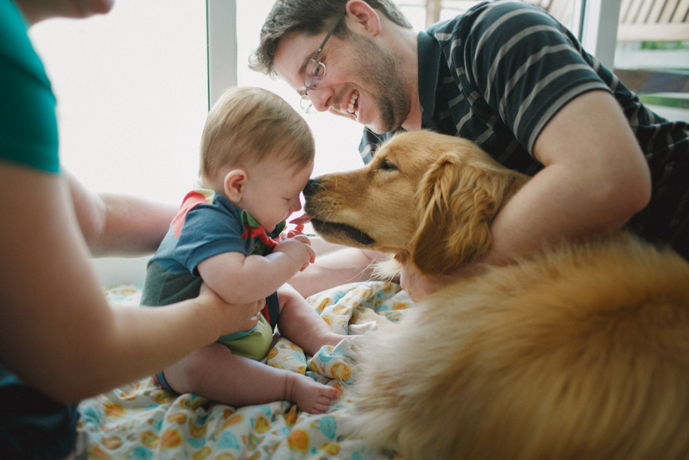 Fotografia Afetiva Aline Lelles e Rodrigo Wittitz , FotoPets Ensaio de Pets , Fotografia de Animais , Ensaio de Fam&iacute;lia , Fotografia de Fam&iacute;lia