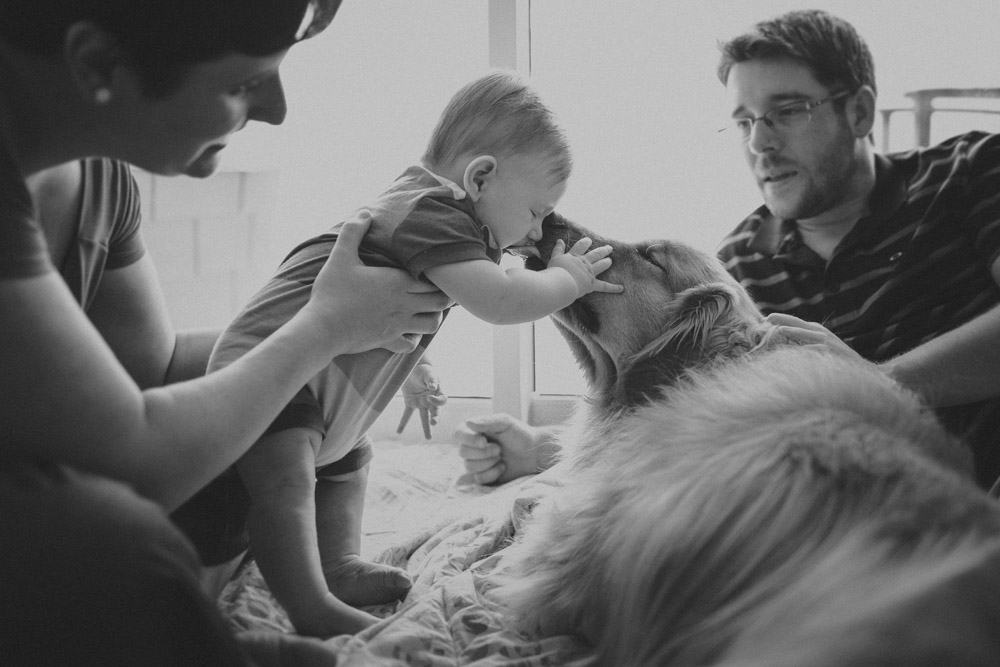 Fotografia Afetiva Aline Lelles e Rodrigo Wittitz , FotoPets Ensaio de Pets , Fotografia de Animais , Ensaio de Fam&iacute;lia , Fotografia de Fam&iacute;lia