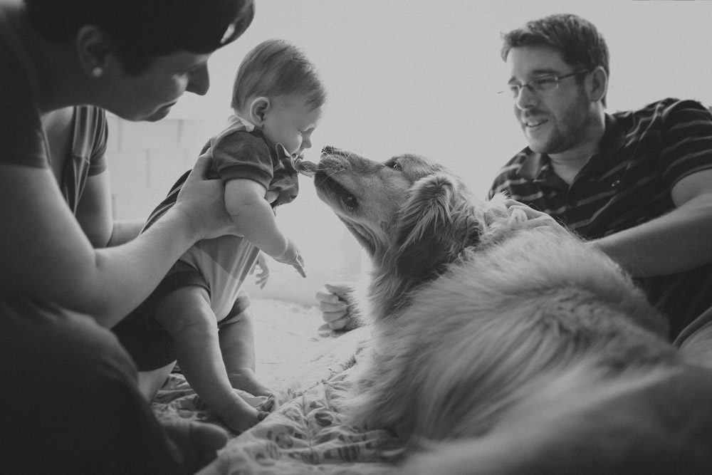 Photographie Affective Aline Lelles et Rodrigo Wittitz, test de b&eacute;b&eacute;, Surveillance B&eacute;b&eacute;, Test Famille, Photographie Famille Style de vie