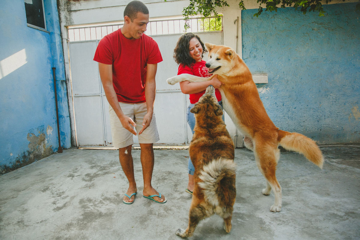 fotografia afetiva, ensaio de familia, ensaio pet, rio de janeiro, ensaio no flamengo, ensaio de gravida, ensaio fotografico no rio de janeiro, como escolher um fotografo, ensaio fotografico, locais para fazer ensaio fotografico rj