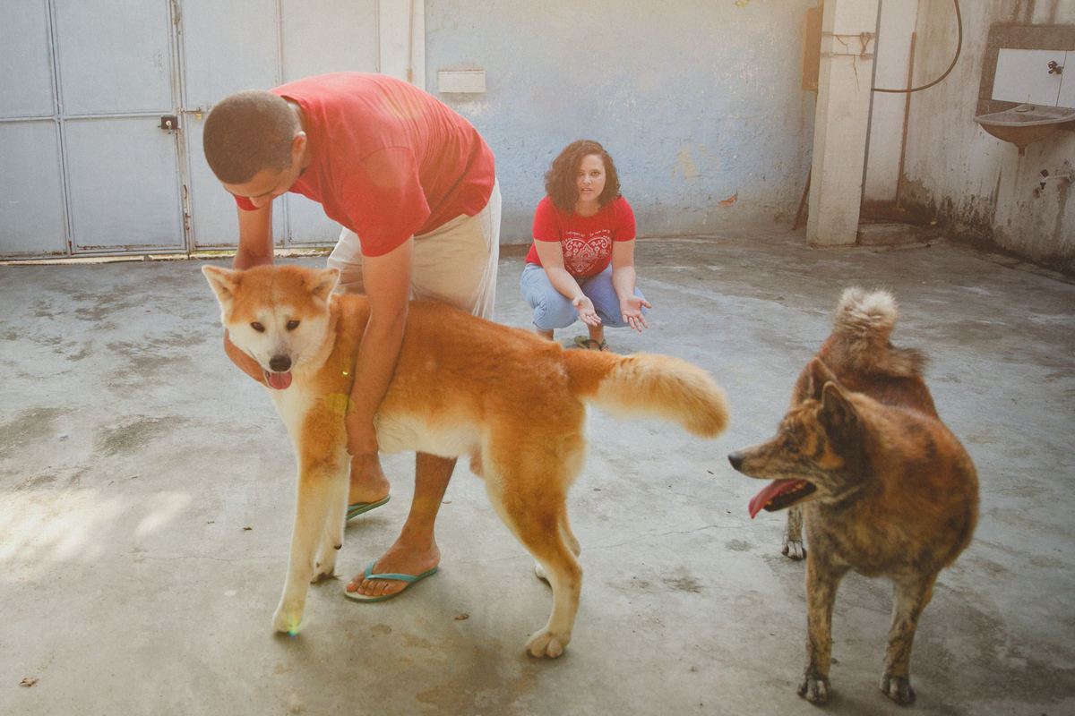 fotografia afetiva, ensaio de familia, ensaio pet, rio de janeiro, ensaio fotografico nova iguacu, ensaio fotografico no rio de janeiro, como escolher um fotografo, ensaio fotografico, locais para fazer ensaio fotografico na baixada fluminense