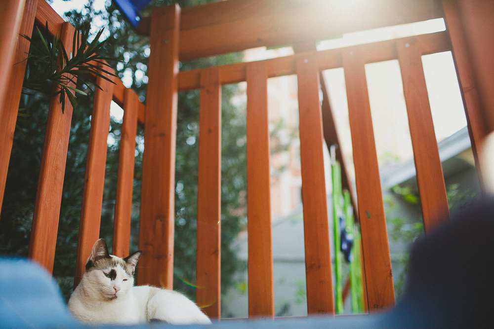 curso para fotografos sp, oficina de direção afetiva são paulo sp, escola holistica de fotografia, escola de fotografia são paulo sp curso de fotografia são paulo sp, workshop de fotografia são paulo sp, workshop para fotografos sp