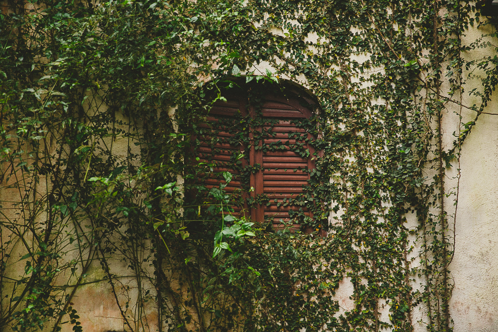 imersão para fotografos amor e foto rio de janeiro rj, curso para fotografos rj, workshop para fotografos rj, curso de fotografia rio de janeiro rj, escola holistica de fotografia rio de janeiro rj, escola de fotografia rio de janeiro rj