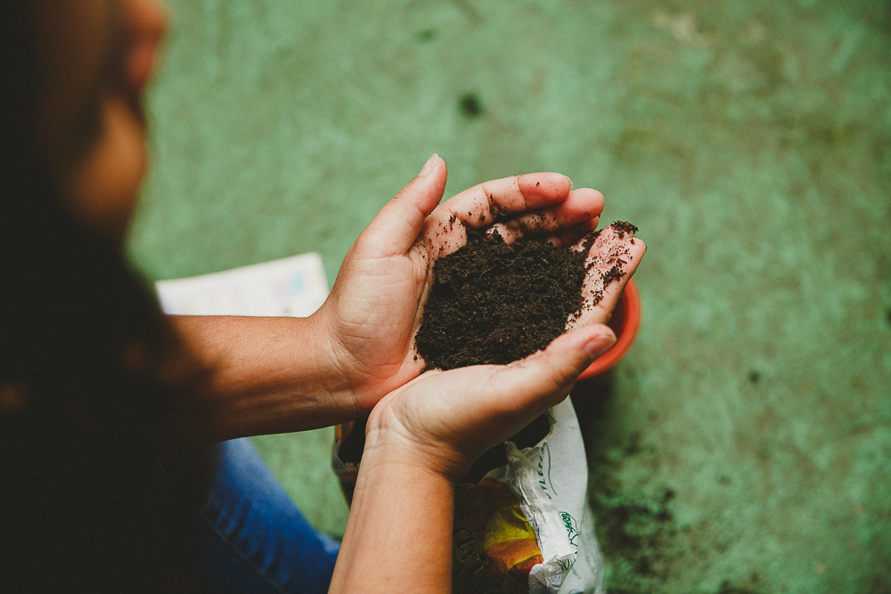 escola holistica de fotografia rio de janeiro rj, escola de fotografia rio de janeiro rj, imersão para fotografos amor e foto rio de janeiro rj, curso para fotografos rj, workshop para fotografos rj, curso de fotografia rio de janeiro rj