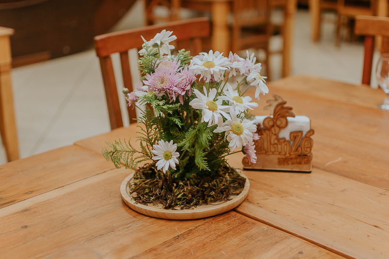 franciele duailibi photography; fotografo de festa infantil campo grande; campo grande; fotografia; decoração de festa; buffet infantil campo grande; fotografa de criança; fotos de aniversario; franciele duailibi; fotografo de festa cg; fotografo campo gr