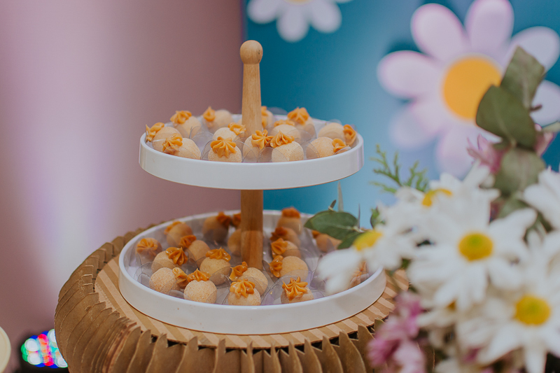 franciele duailibi photography; fotografo de festa infantil campo grande; campo grande; fotografia; decoração de festa; buffet infantil campo grande; fotografa de criança; fotos de aniversario; franciele duailibi; fotografo de festa cg; fotografo campo gr