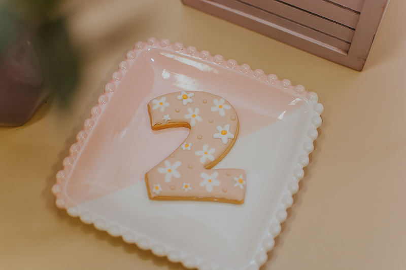 franciele duailibi photography; fotografo de festa infantil campo grande; campo grande; fotografia; decoração de festa; buffet infantil campo grande; fotografa de criança; fotos de aniversario; franciele duailibi; fotografo de festa cg; fotografo campo gr