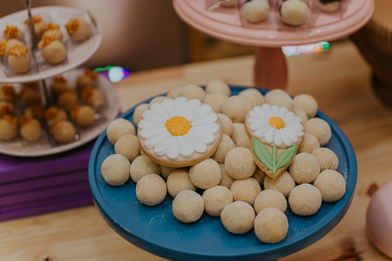 franciele duailibi photography; fotografo de festa infantil campo grande; campo grande; fotografia; decoração de festa; buffet infantil campo grande; fotografa de criança; fotos de aniversario; franciele duailibi; fotografo de festa cg; fotografo campo gr