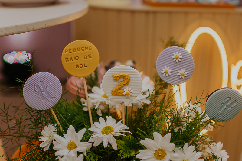 franciele duailibi photography; fotografo de festa infantil campo grande; campo grande; fotografia; decoração de festa; buffet infantil campo grande; fotografa de criança; fotos de aniversario; franciele duailibi; fotografo de festa cg; fotografo campo gr