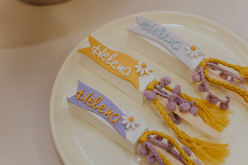 franciele duailibi photography; fotografo de festa infantil campo grande; campo grande; fotografia; decoração de festa; buffet infantil campo grande; fotografa de criança; fotos de aniversario; franciele duailibi; fotografo de festa cg; fotografo campo gr