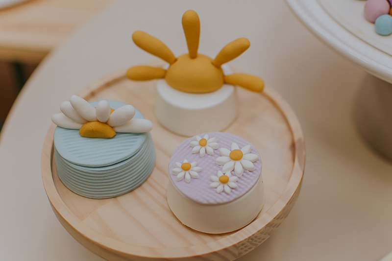 franciele duailibi photography; fotografo de festa infantil campo grande; campo grande; fotografia; decoração de festa; buffet infantil campo grande; fotografa de criança; fotos de aniversario; franciele duailibi; fotografo de festa cg; fotografo campo gr