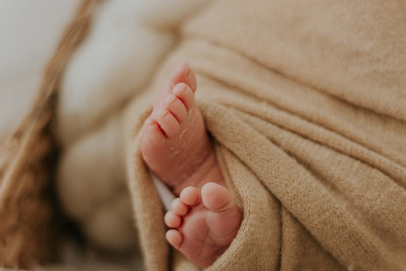  sessao newborn; newborn; campo grande; baby boy; fotos fran duailibi; mae de menina; pai de menina; newborn girl; mudo rosa; ensaio newborn; fotos de recem nascido campo grande; fotografo em campo grande; fotos de bebe; bebe com mamae; bebe com familia