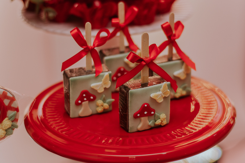 franciele duailibi photography; fotografo de festa infantil campo grande; campo grande; decoração de festa; buffet infantil campo grande; fotografa de criança; fotos de aniversario; fotografo de festa cg; festa chapeuzinho vermelho decoração