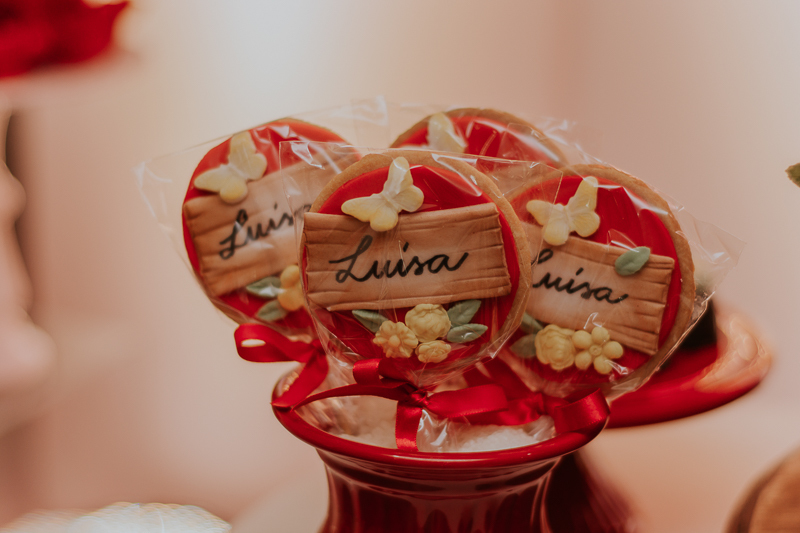 franciele duailibi photography; fotografo de festa infantil campo grande; campo grande; decoração de festa; buffet infantil campo grande; fotografa de criança; fotos de aniversario; fotografo de festa cg; festa chapeuzinho vermelho decoração