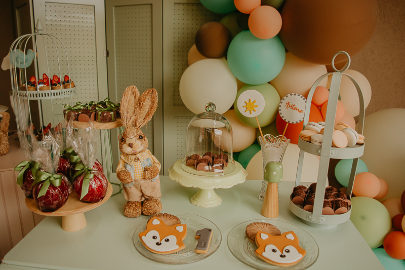 franciele duailibi photography; fotografo de festa infantil campo grande; campo grande; decoração de festa; buffet infantil campo grande; fotografa de criança; fotos de aniversario; fotografo de festa cg; festa bosque decoração