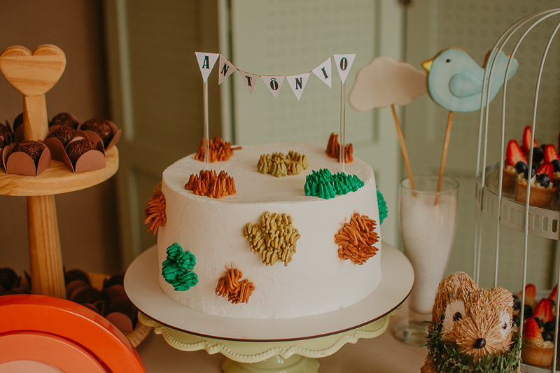 franciele duailibi photography; fotografo de festa infantil campo grande; campo grande; decoração de festa; buffet infantil campo grande; fotografa de criança; fotos de aniversario; fotografo de festa cg; festa bosque decoração