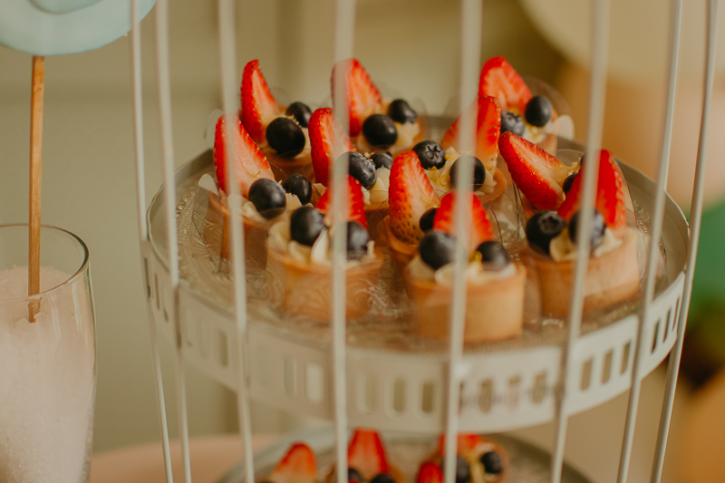 franciele duailibi photography; fotografo de festa infantil campo grande; campo grande; decoração de festa; buffet infantil campo grande; fotografa de criança; fotos de aniversario; fotografo de festa cg; festa bosque decoração