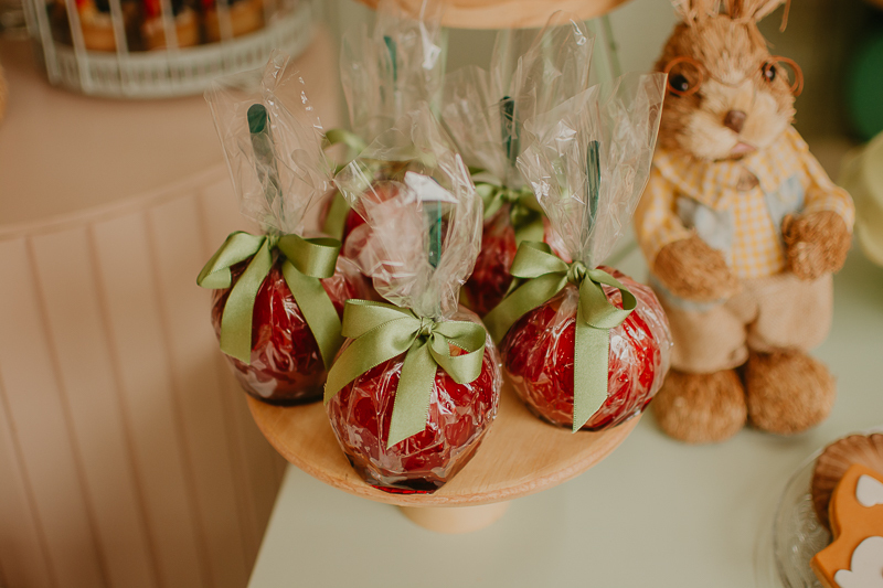 franciele duailibi photography; fotografo de festa infantil campo grande; campo grande; decoração de festa; buffet infantil campo grande; fotografa de criança; fotos de aniversario; fotografo de festa cg; festa bosque decoração