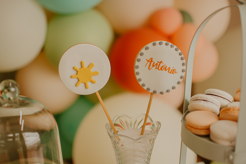 franciele duailibi photography; fotografo de festa infantil campo grande; campo grande; decoração de festa; buffet infantil campo grande; fotografa de criança; fotos de aniversario; fotografo de festa cg; festa bosque decoração