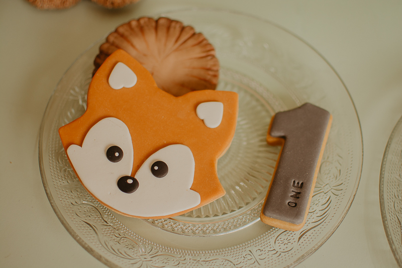 franciele duailibi photography; fotografo de festa infantil campo grande; campo grande; decoração de festa; buffet infantil campo grande; fotografa de criança; fotos de aniversario; fotografo de festa cg; festa bosque decoração