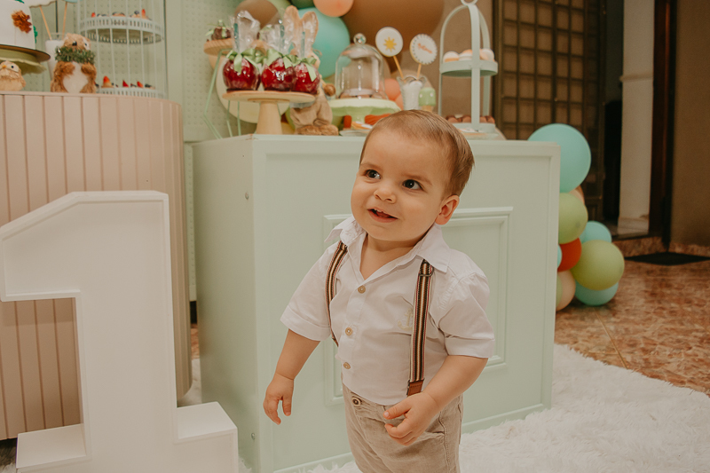 franciele duailibi photography; fotografo de festa infantil campo grande; campo grande; decoração de festa; buffet infantil campo grande; fotografa de criança; fotos de aniversario; fotografo de festa cg; festa bosque decoração